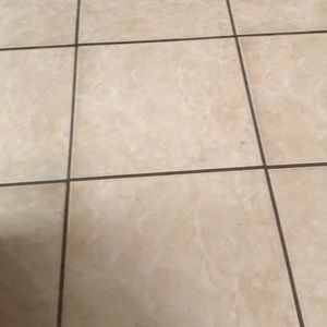 Meet your Posher, Badea